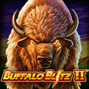 Wild Buffalo Battle 2